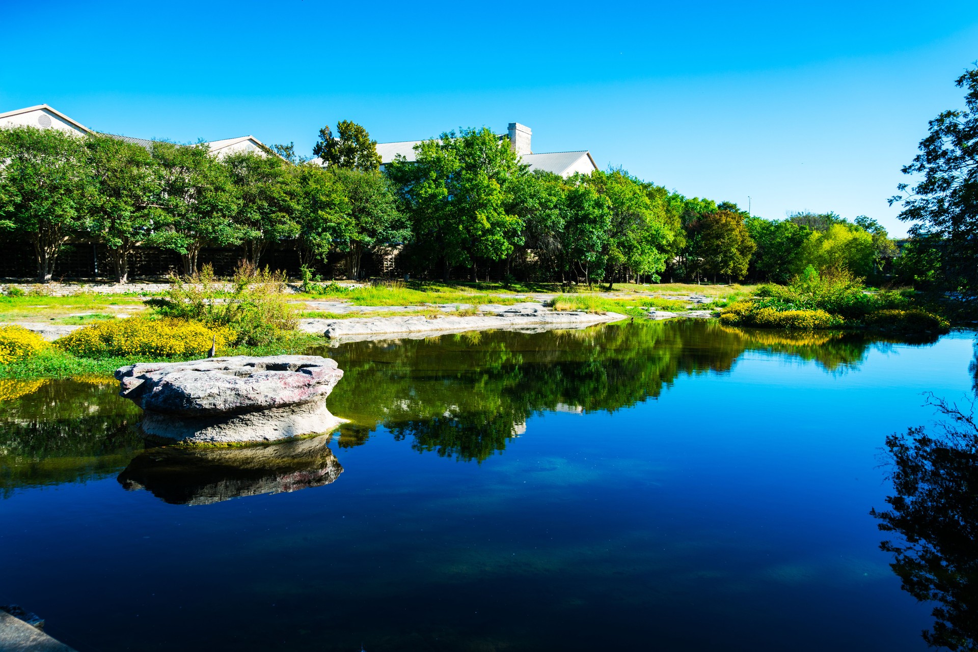 Gorgeous Round Rock Texas